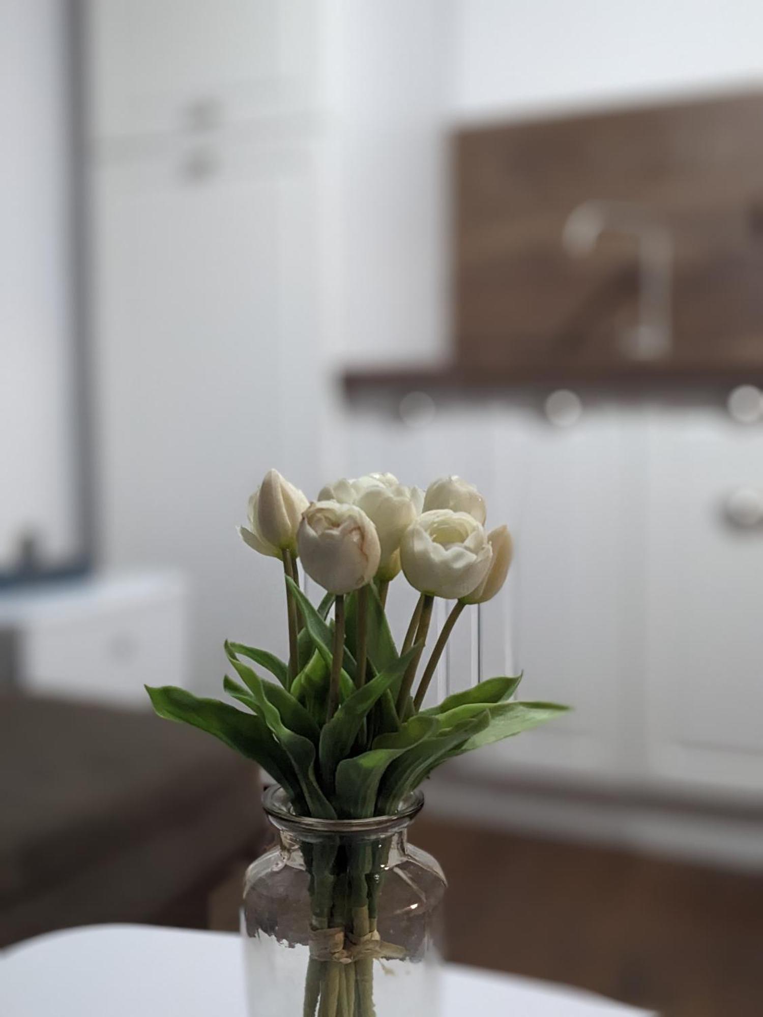 Honey I'M Home Apartments Veliko Tŭrnovo Exterior foto